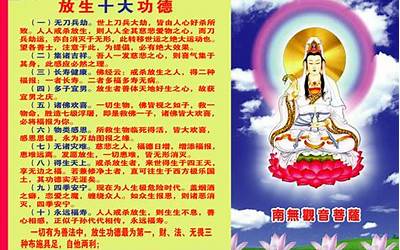 放生功德