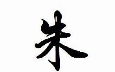 姓朱