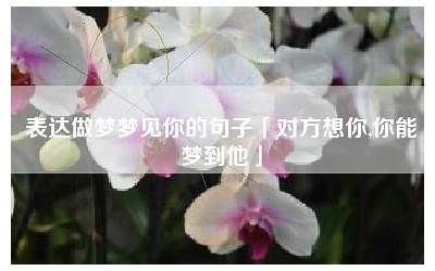 梦见你的句子经典