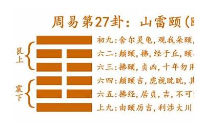 颐卦详解