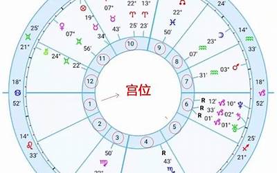 十二宫代表什么