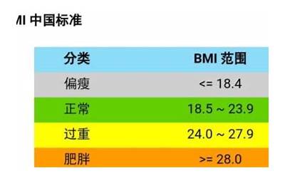 bmi指数是什么