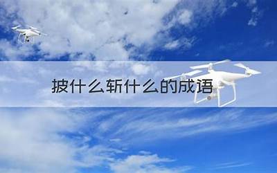 披什么散什么