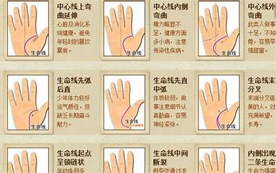 手相解析