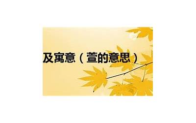 萱的意思及寓意