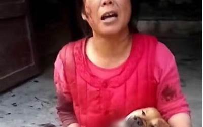 狗与人的交配