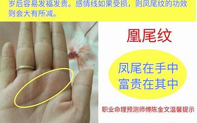 凤尾纹手相