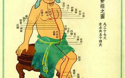 十二经