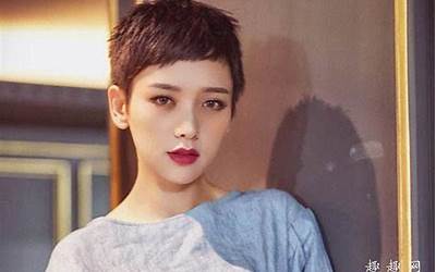 李晓峰个人资料简介