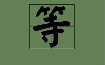 占可以组什么词