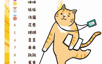 小猫名字