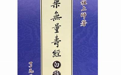 大乘无量寿经