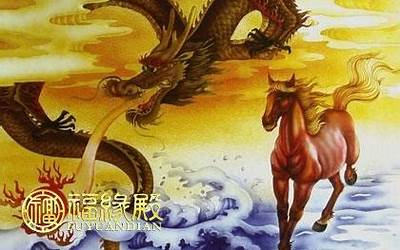 马和龙属相合不合