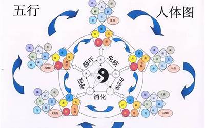 梦五行属什么