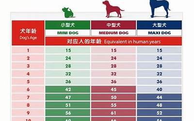 狗年龄对照表