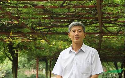汪麟