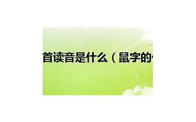 鼠的偏旁部首