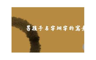 男孩子名字翊字的寓意