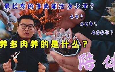 老虎能活多少年