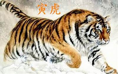 寅虎是什么时辰