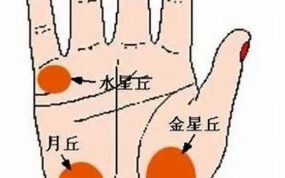 月丘饱满是什么意思