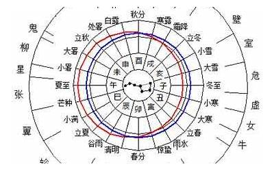 什么是天干