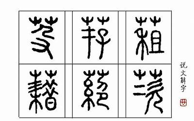藉是什么意思