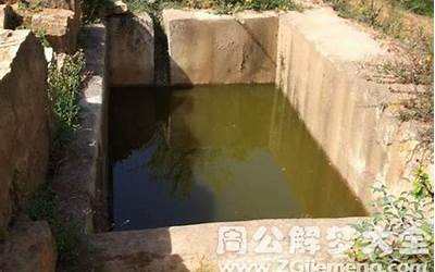 梦见粪坑