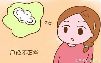 经期是什么意思