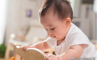 晖是什么意思
