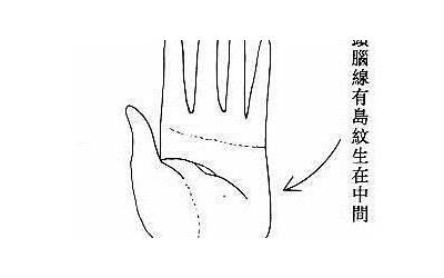 纹生
