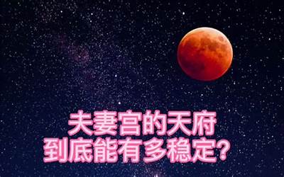 夫妻宫天府