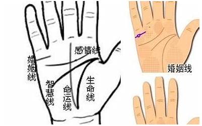 婚姻线分叉(婚姻线分叉代表什么)