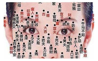 私处有痣(私处不同部位的痣如何解析)
