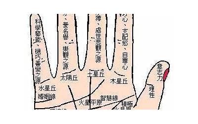 手相是真的吗(手相算命是真是假)