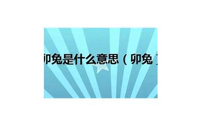 卯兔是什么意思(兔年说文解字)