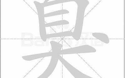 臭的部首(臭的部首是什么)