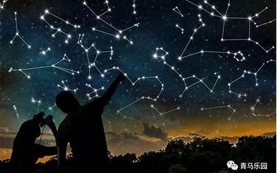 马的星座(你的马儿是什么星座的)
