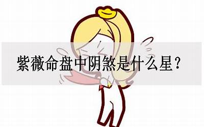 阴煞是什么意思(紫薇斗数阴煞的意思是什么)
