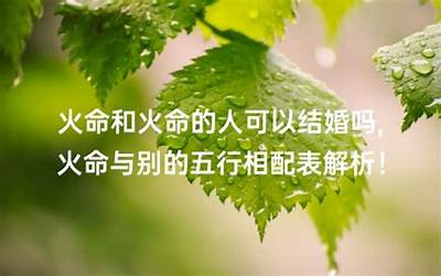 男火女金(金命和火命的婚姻如何)