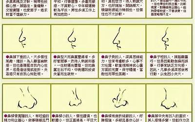 鼻子面相(鼻子面相代表什么)