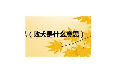 败月是什么意思(狗败六月是什么意思)