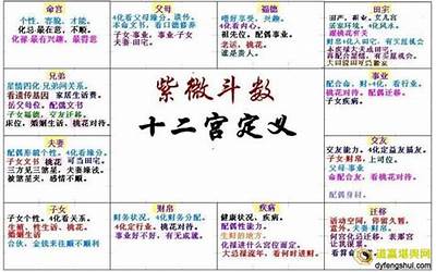 天贵星(紫微斗数天贵星是管什么的)
