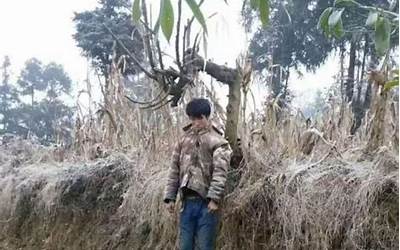 自缢身亡什么意思(自缢身亡的意思)