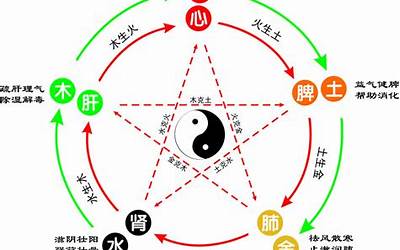 中医五行相生相克(论中医的五行生克)