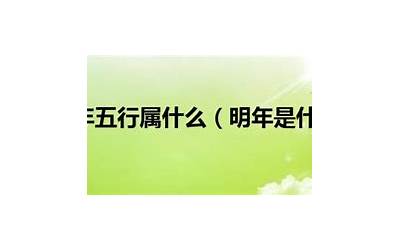 明年啥年(明年是什么年五行属什么)