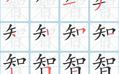 智几画(智的笔顺怎么写)