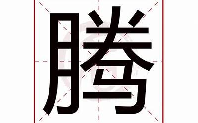 腾五行属什么(腾字的五行是什么)
