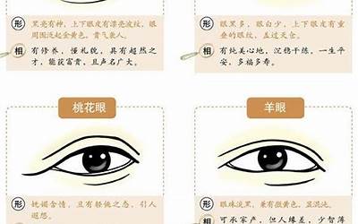 大小眼面相(大小眼面相代表什么)