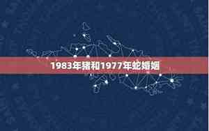 1983年的婚姻状况